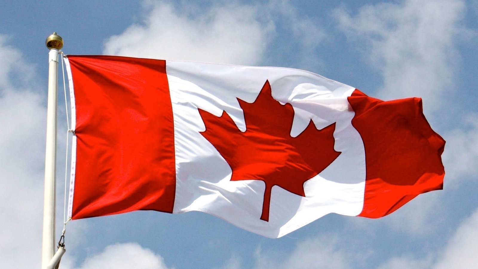 Le Job Parfait Au Canada : Découvrez Le Secteur Le Plus En Demande En 2023 !